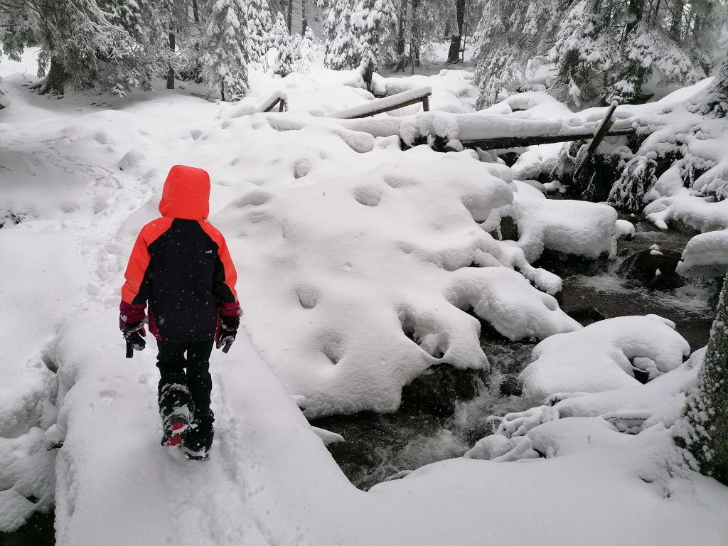 Iarna în munții Parâng