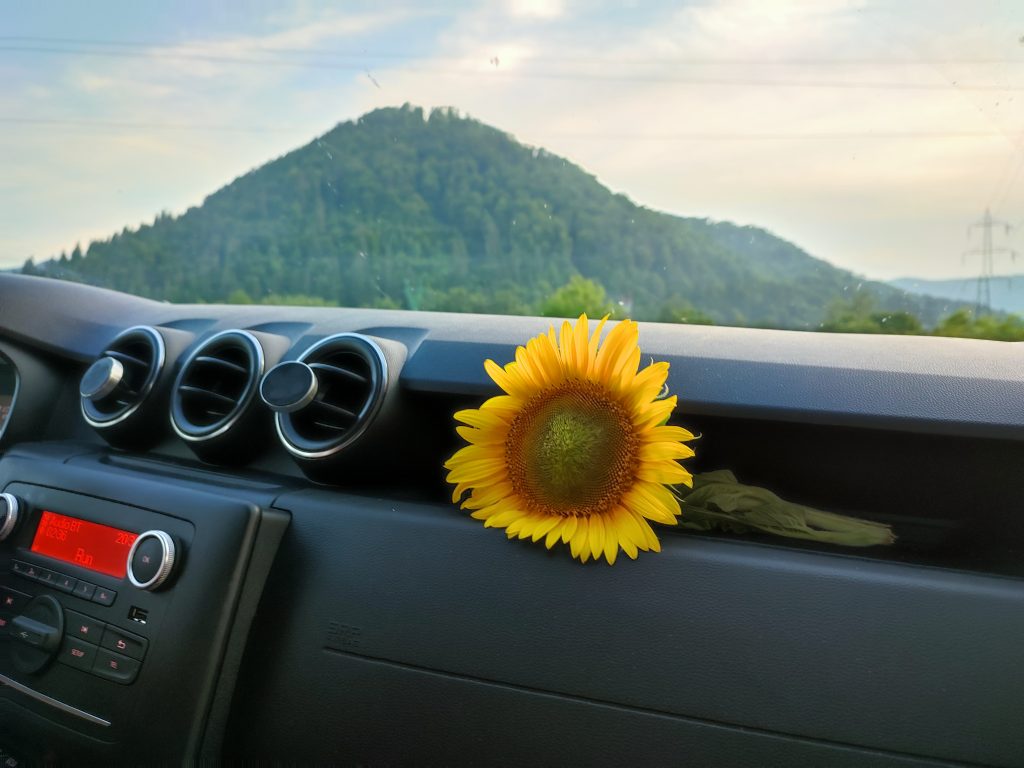 Drumuri către Moldova