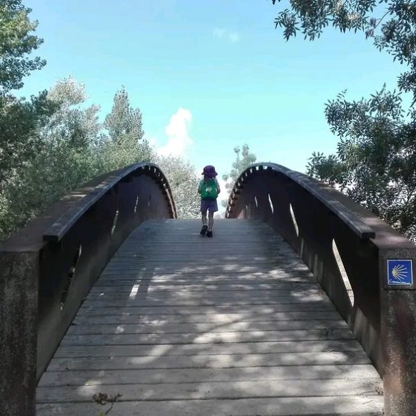 Ziua 6: Născut pelerin