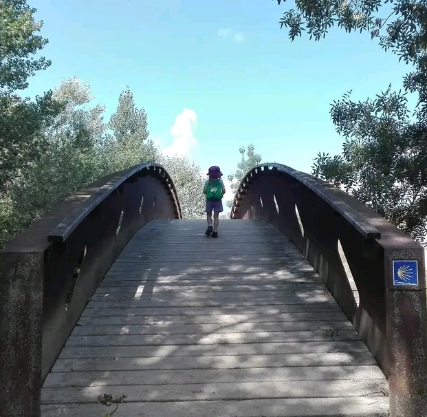 Read more about the article Ziua 6: Născut pelerin