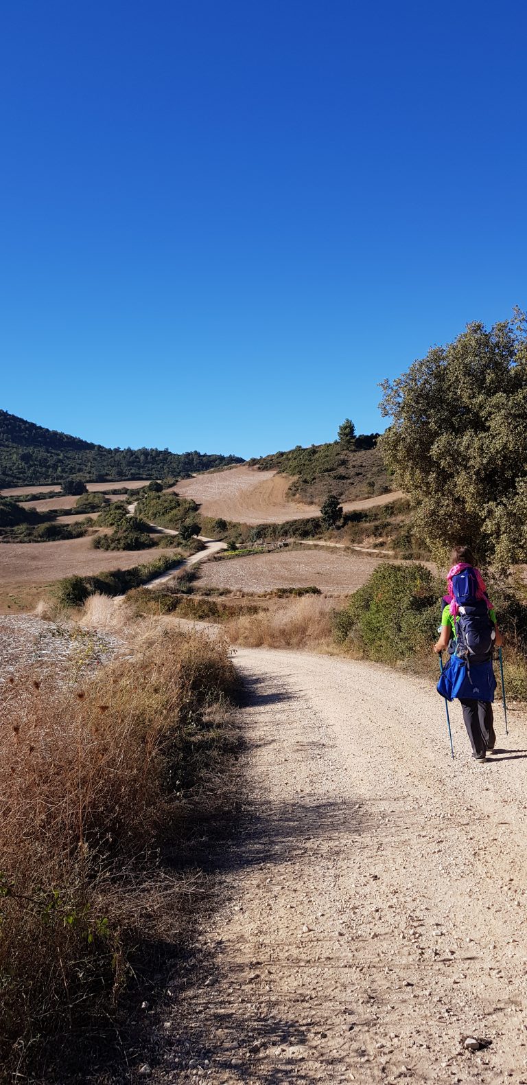 Read more about the article Ziua 7: Învăț să merg din nou