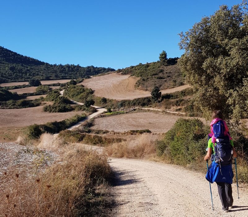 Ziua 7: Învăț să merg din nou