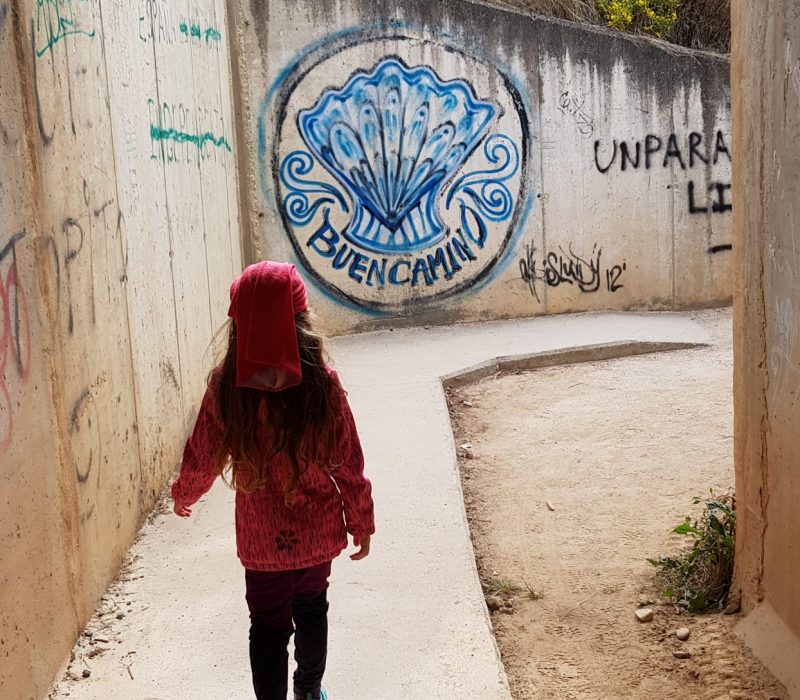 Pe drumul bătătorit al scoicilor