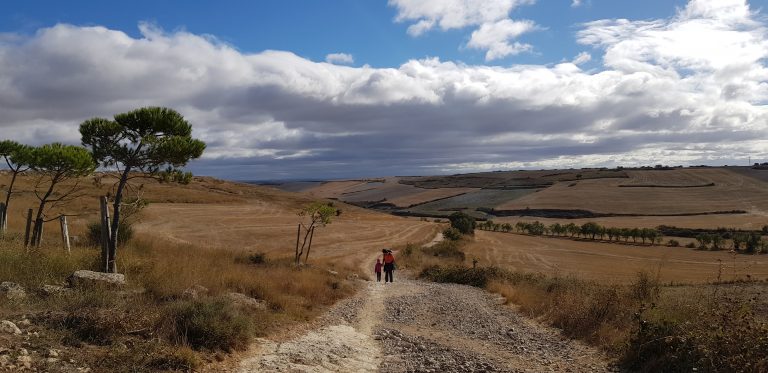 Read more about the article Ziua 14: O zi în deșert