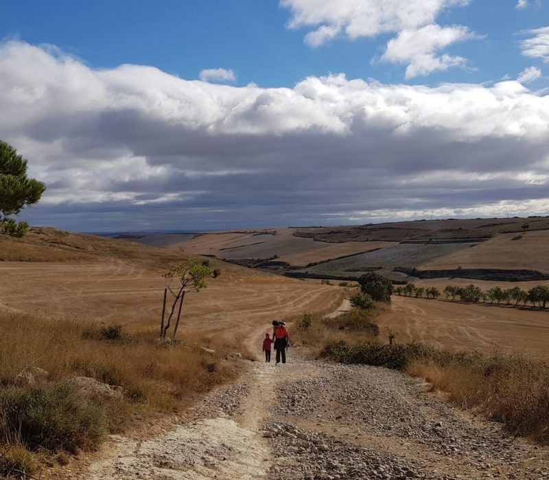 Ziua 14: O zi în deșert