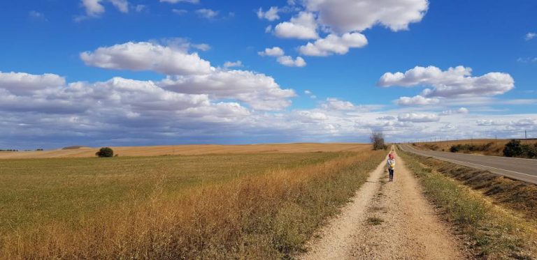 Read more about the article Ziua 16: Despre oameni și melci