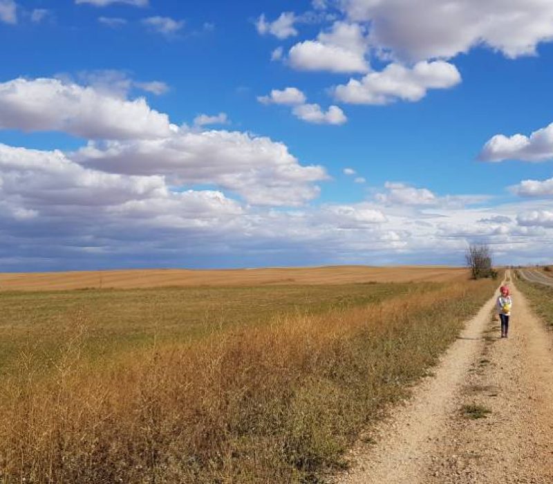 Ziua 16: Despre oameni și melci