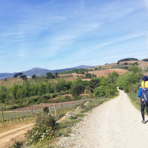 Ziua 26: Piatra ce-și dorea să fie scoică