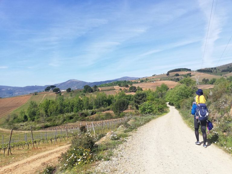 Read more about the article Ziua 26: Piatra ce-și dorea să fie scoică