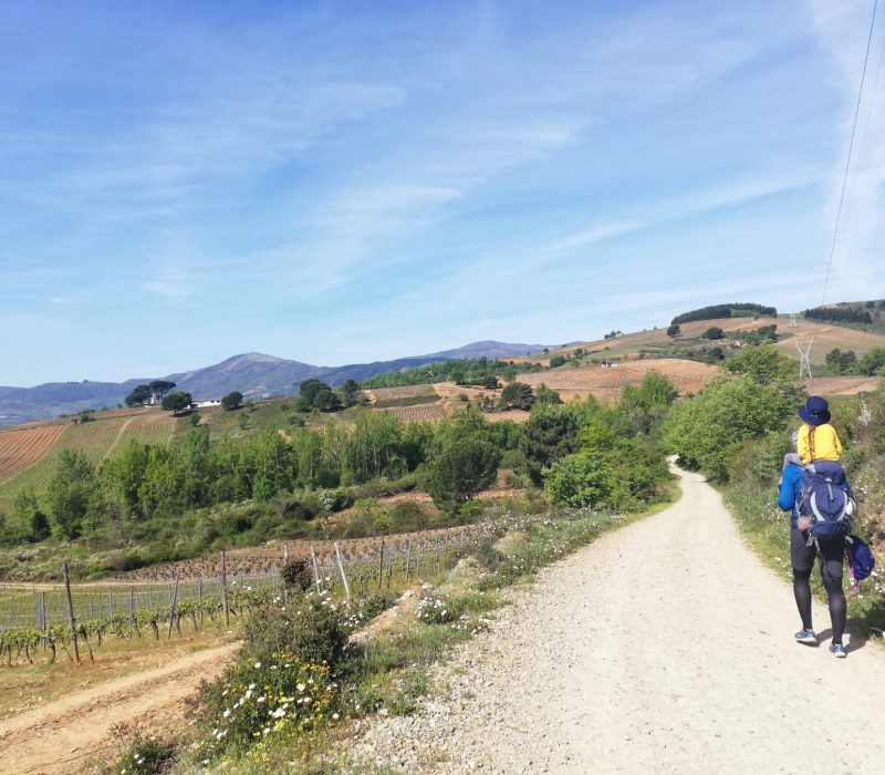 Ziua 26: Piatra ce-și dorea să fie scoică