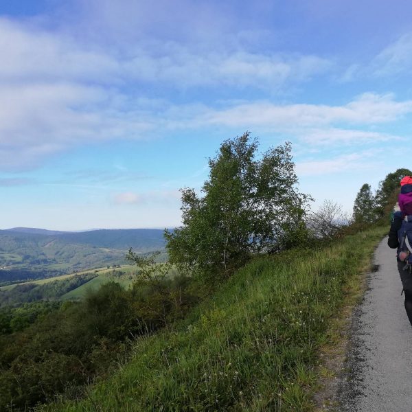 Ziua 29: Mai mult cu mai puțin