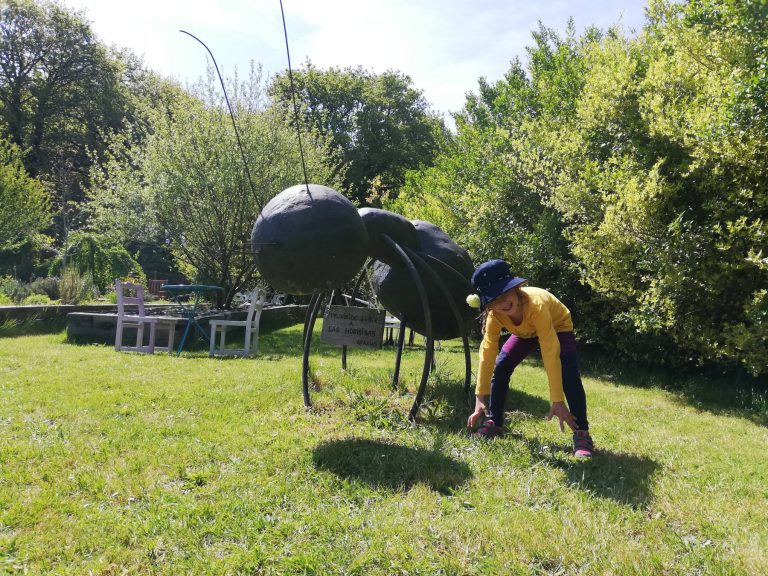 Read more about the article Ziua 31: Caracatița călătoare