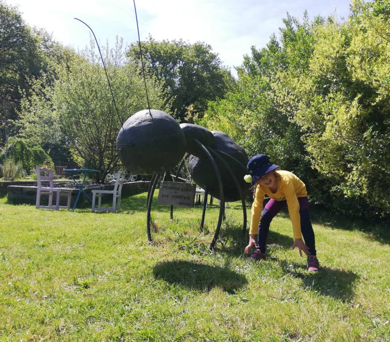 Ziua 31: Caracatița călătoare