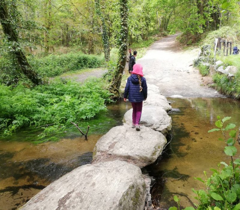 Ziua 32: Făuritorul de ștampile