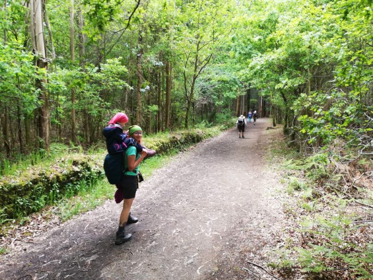 Read more about the article Ziua 33: Brambura prin pădurea de eucalipt