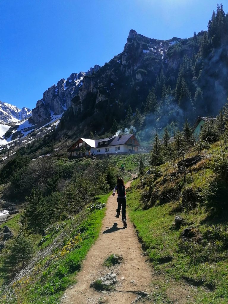 Read more about the article Ultima suflare a iernii la Mălăiești