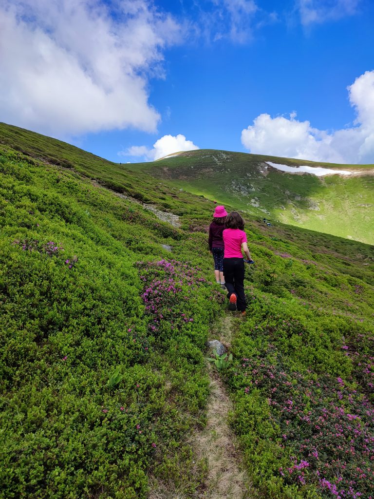 Read more about the article Fugim de ploaie în munții Căpățânii