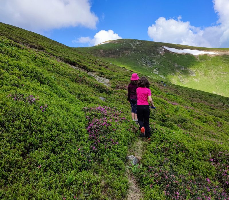 Fugim de ploaie în munții Căpățânii