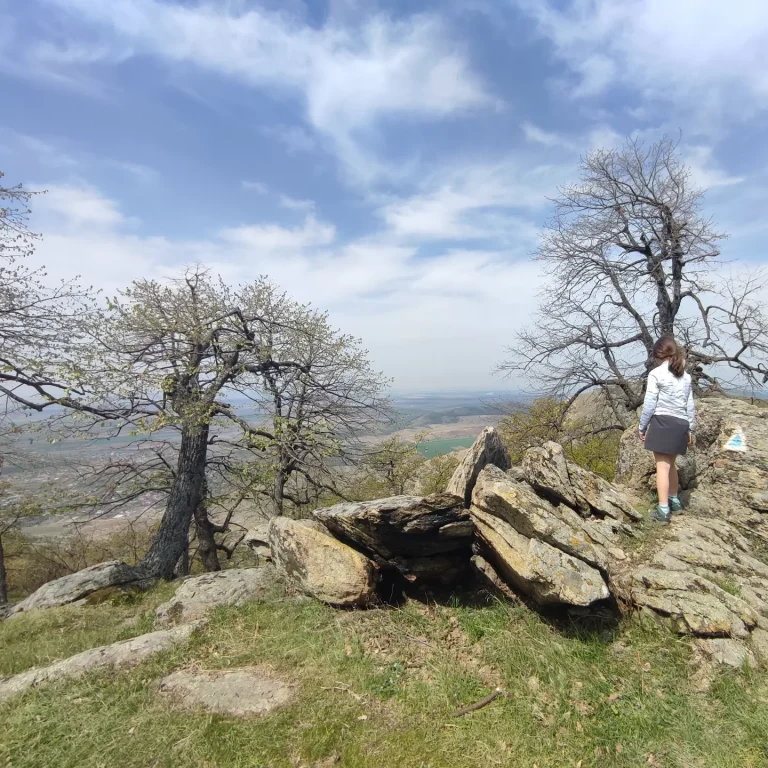 Read more about the article La întrecere cu broaștele țestoase în Măcin