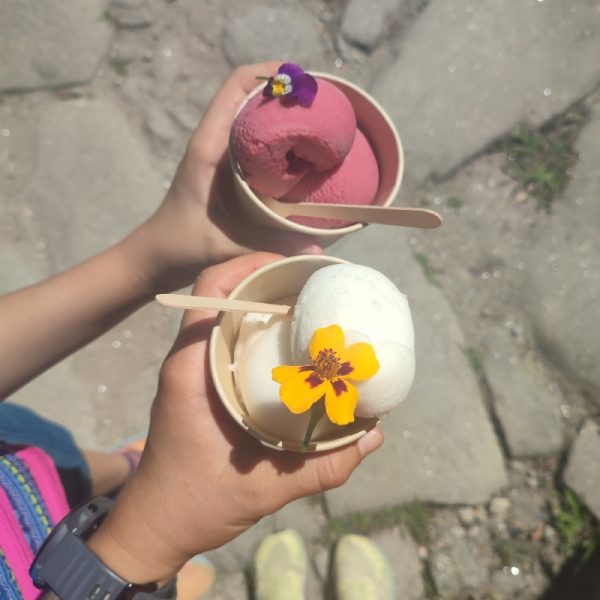 Ziua 4: Înghețata din mijlocul pădurii