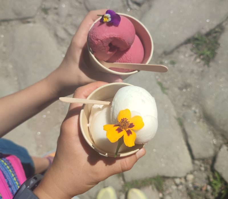 Ziua 4: Înghețata din mijlocul pădurii