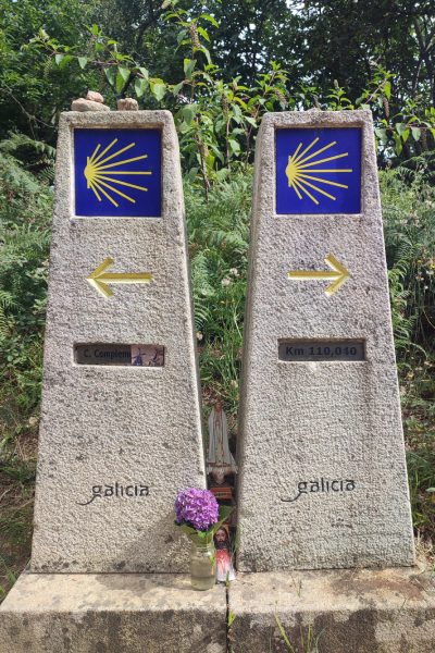 Ziua 7: În două locuri în același timp