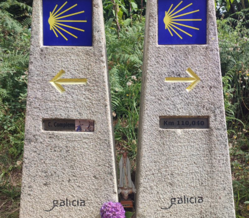 Ziua 7: În două locuri în același timp