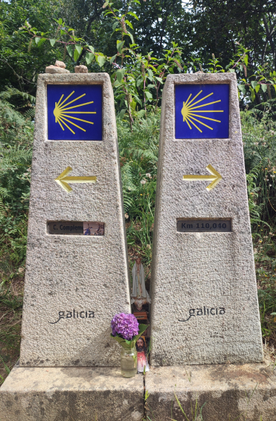 Read more about the article Ziua 7: În două locuri în același timp