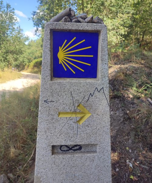 Ziua 8: Cât mai e până la infinit?