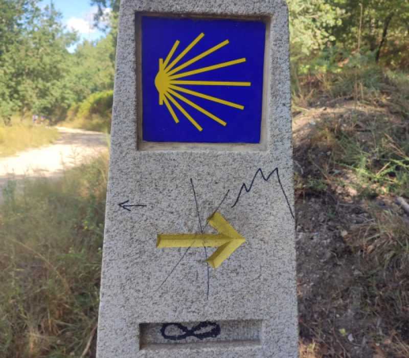 Ziua 8: Cât mai e până la infinit?