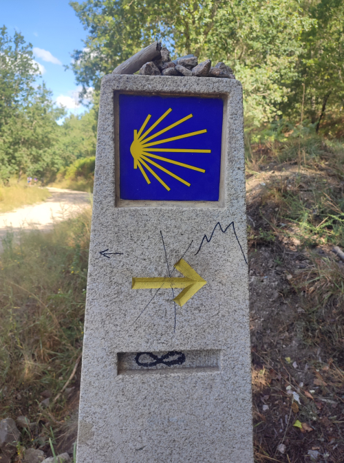 Read more about the article Ziua 8: Cât mai e până la infinit?