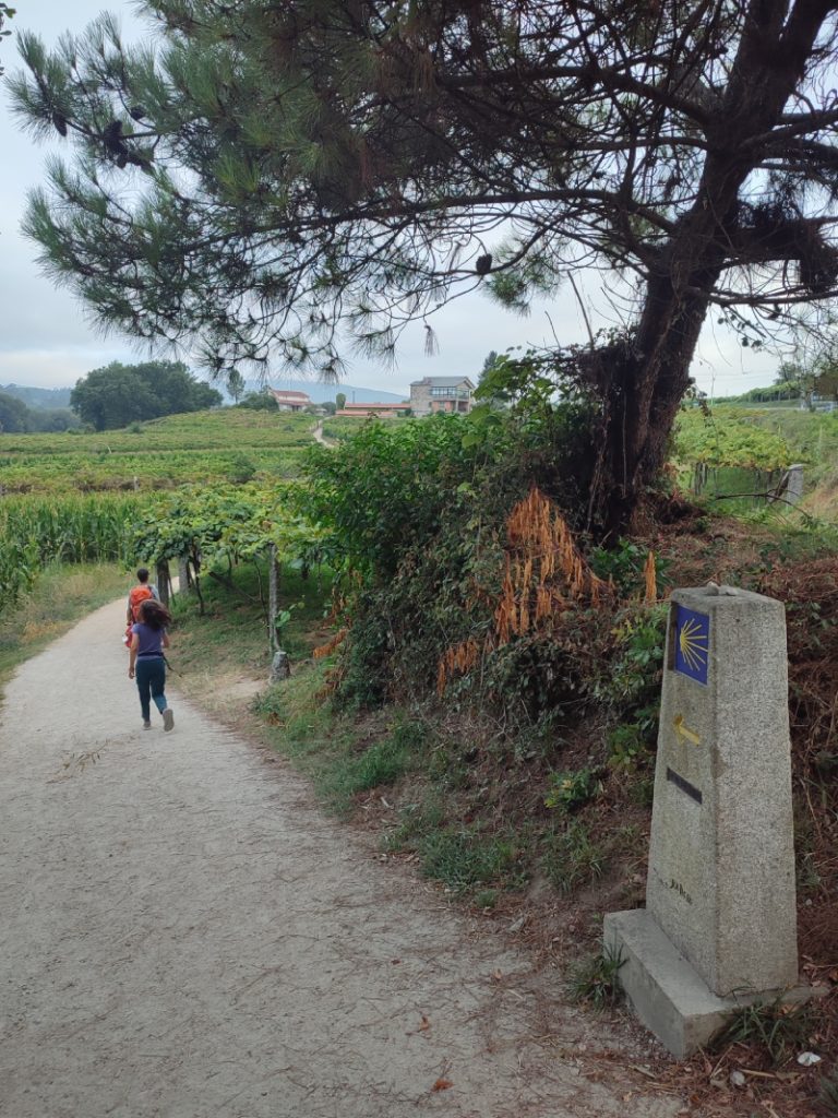 Read more about the article Ziua 10: Călătoria e mai importantă decât destinația