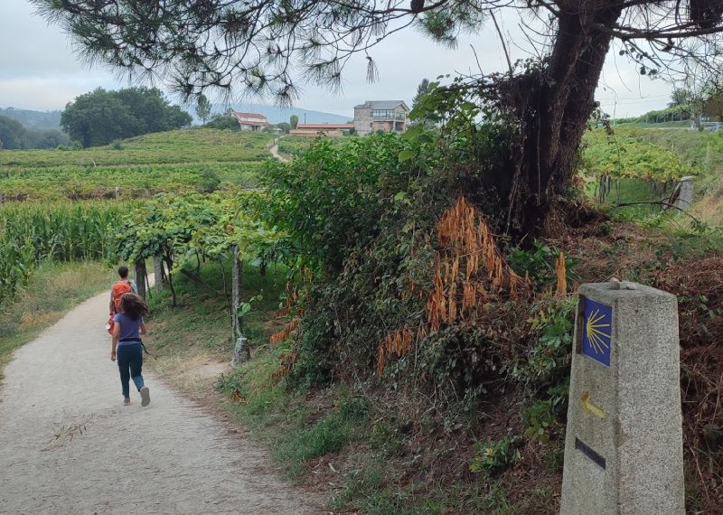 Ziua 10: Călătoria e mai importantă decât destinația