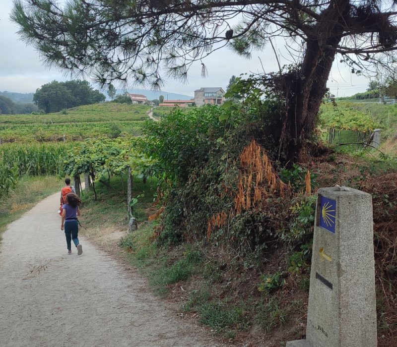 Ziua 10: Călătoria e mai importantă decât destinația