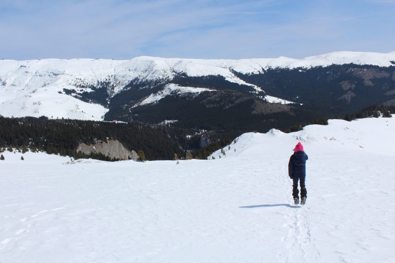Read more about the article Alb nemărginit către Refugiul Șaua Strunga