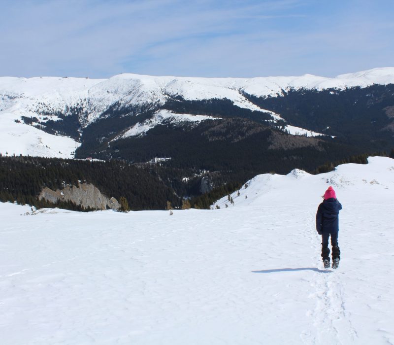 Alb nemărginit către Refugiul Șaua Strunga