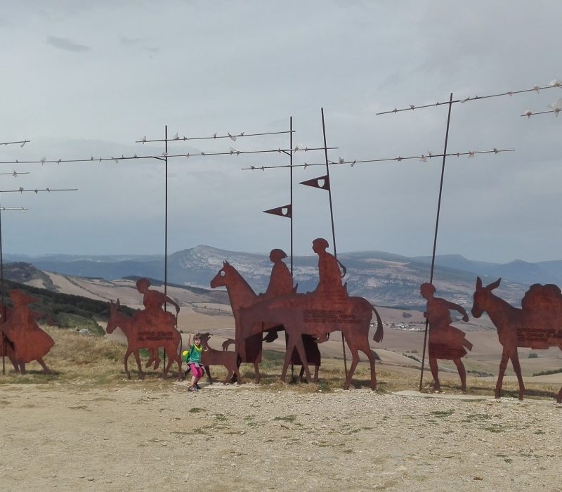 Ziua 5: Fericirea este o livadă de măslini