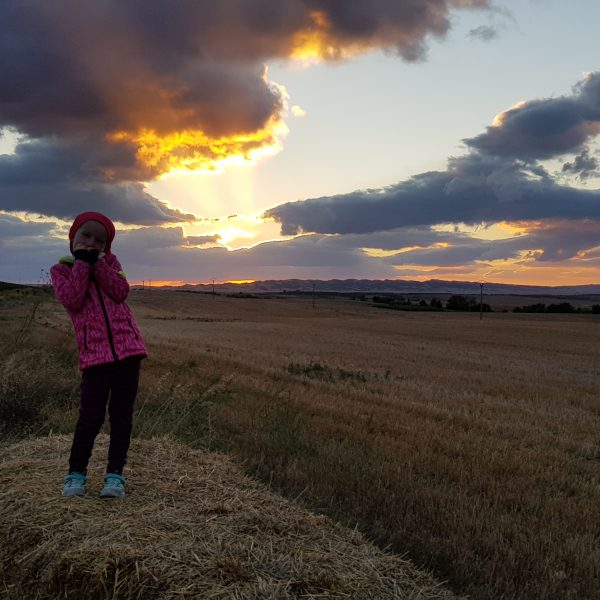 Ziua 8: Galben infinit