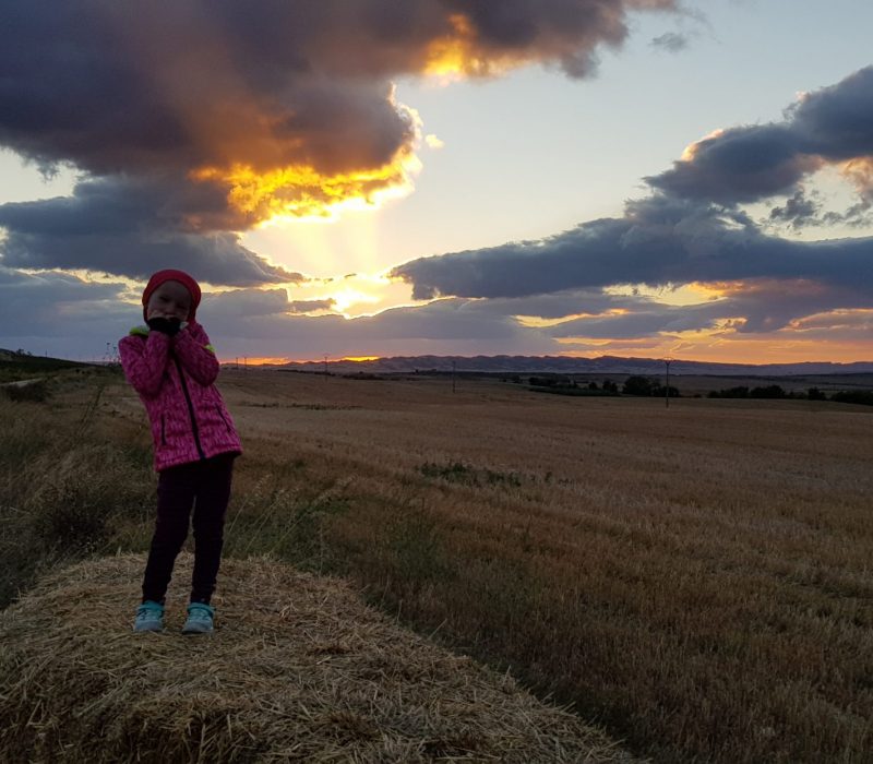 Ziua 8: Galben infinit