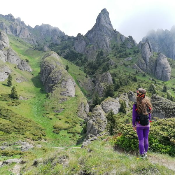 În căutarea bujorului de munte pe poteci de Ciucaș