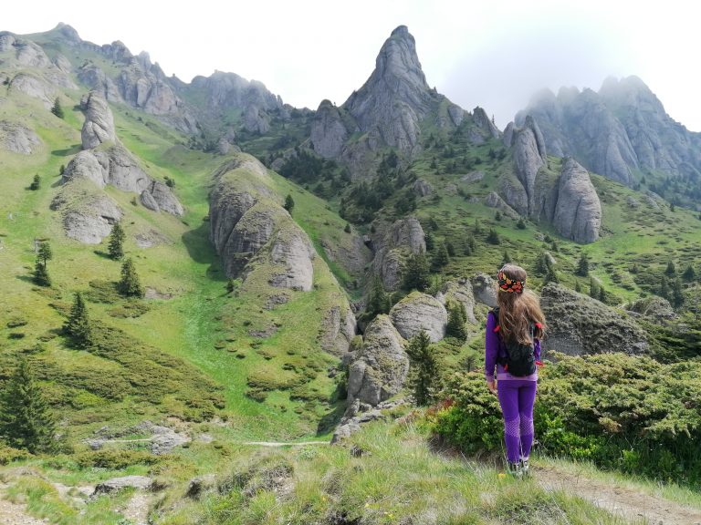 Read more about the article În căutarea bujorului de munte pe poteci de Ciucaș