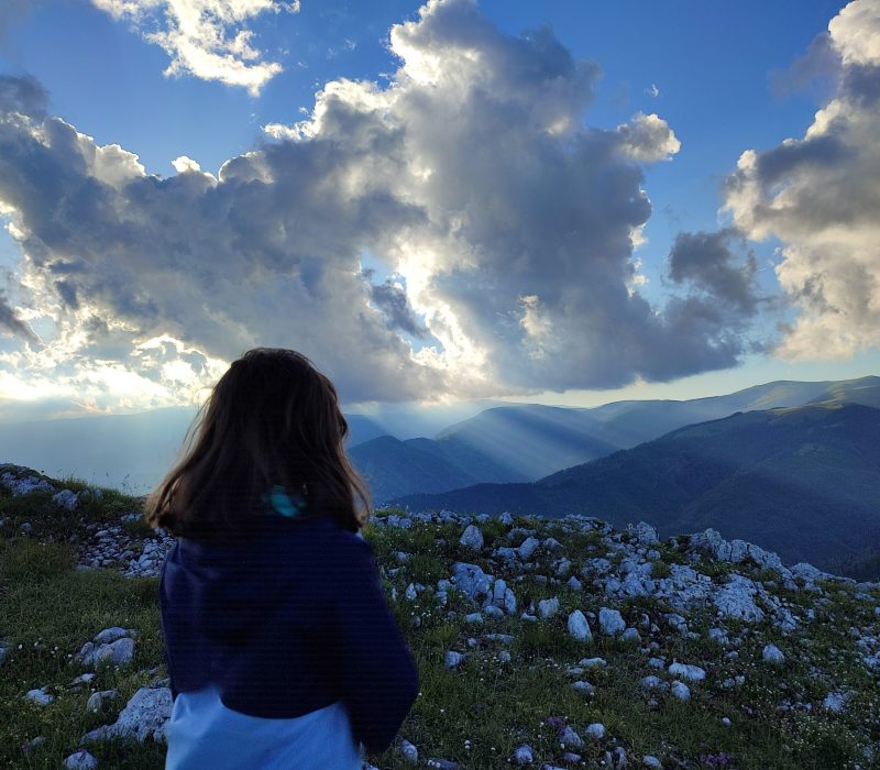 Cărări de fragi și urzici în Buila