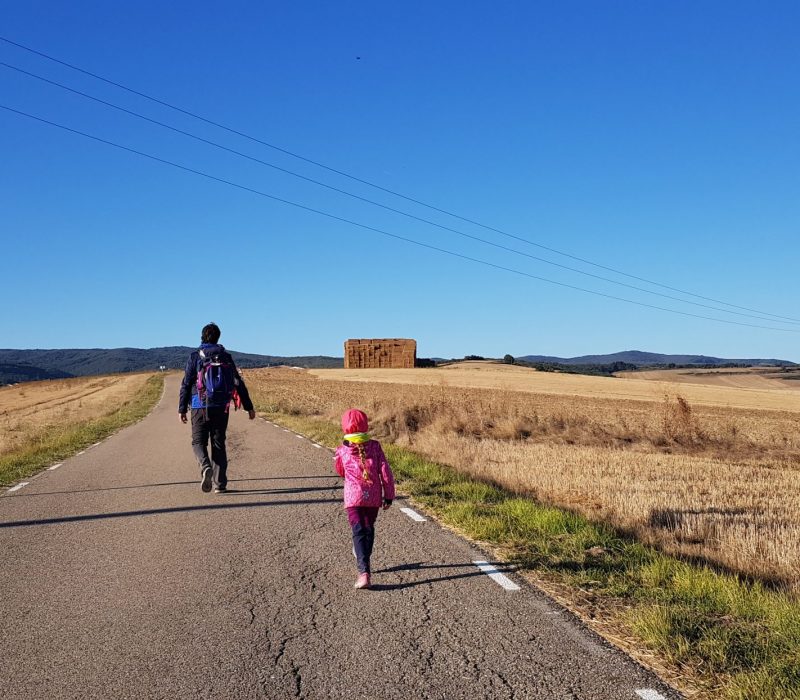 Ziua 11: Nimic la orizont