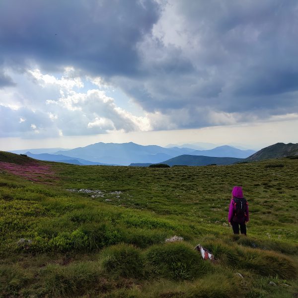 Peste tot e lavă în Călimani