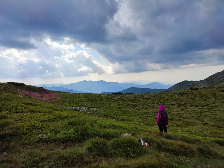 Read more about the article Peste tot e lavă în Călimani