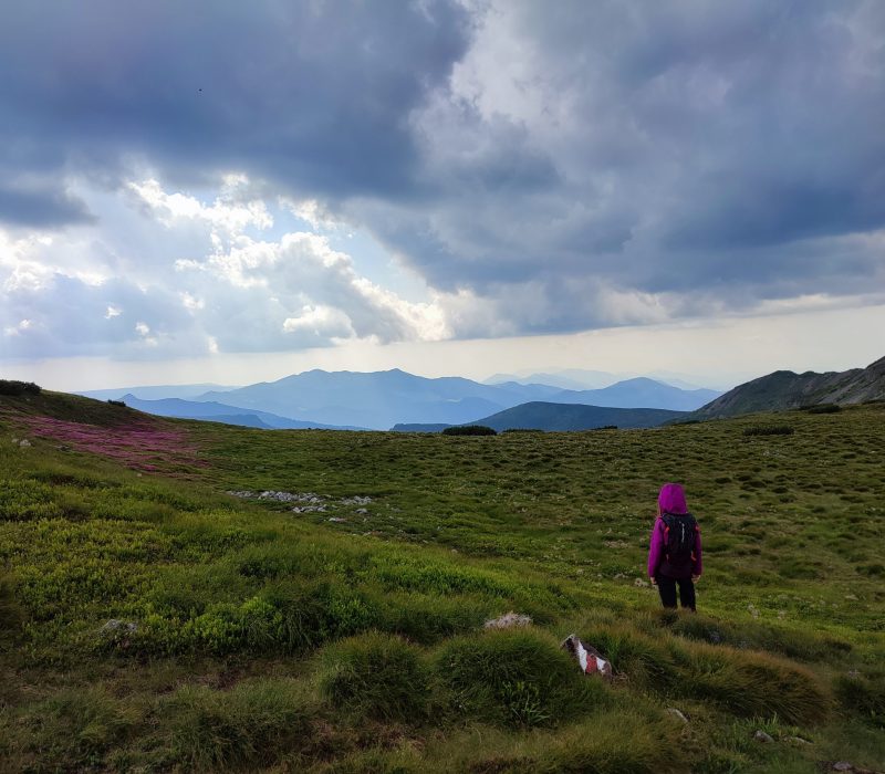 Peste tot e lavă în Călimani