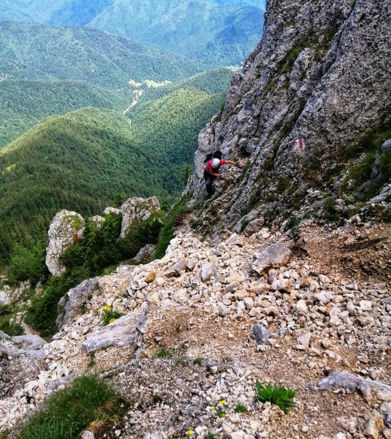 IMG-20200727-WA0368-01