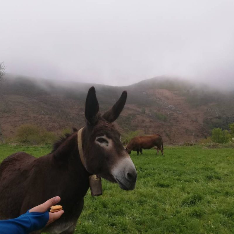 IMG_20190501_123923 (1)