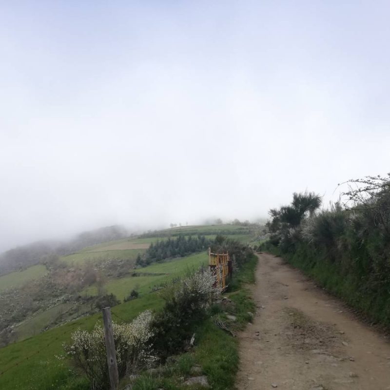 IMG_20190501_125631 (1)