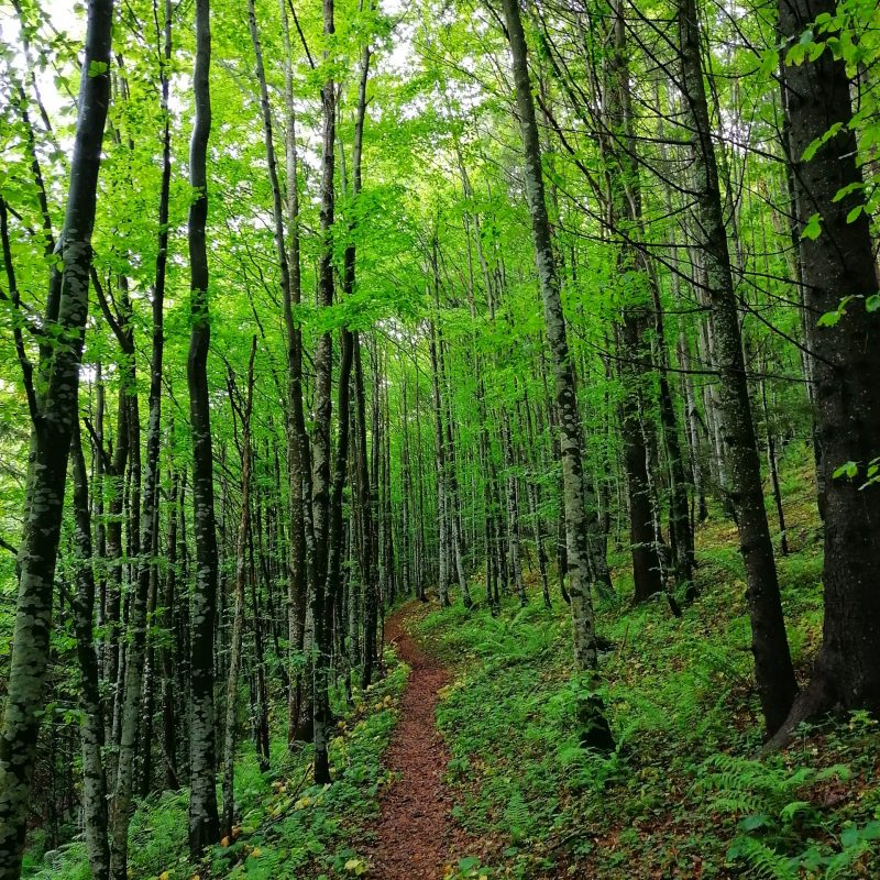 IMG_20200613_142803-01